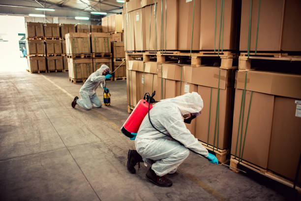 Best Pest Control Near Me  in Mitchell, IN