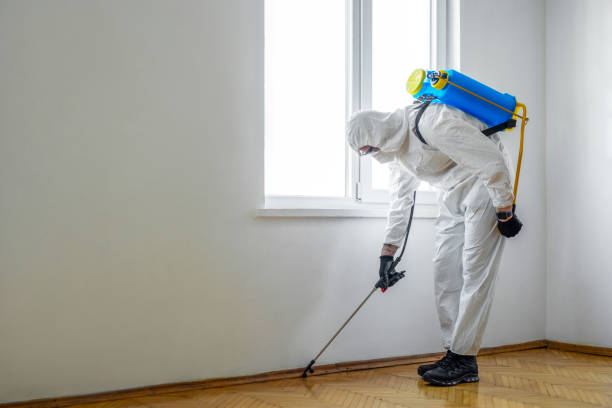 Reliable Mitchell, IN Pest Control Solutions