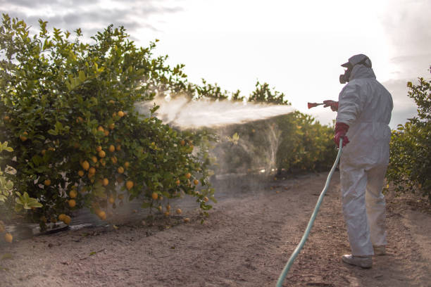 Best Wildlife Control Services  in Mitchell, IN